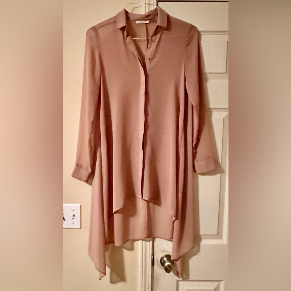 San Joy Sheer Blouse